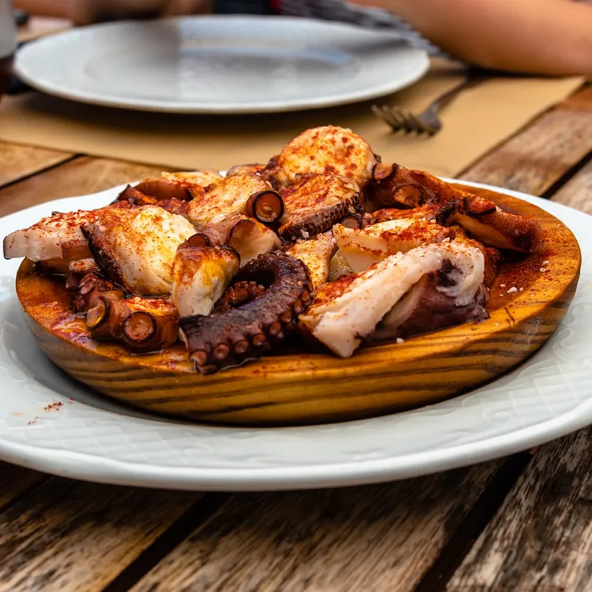 pulpo